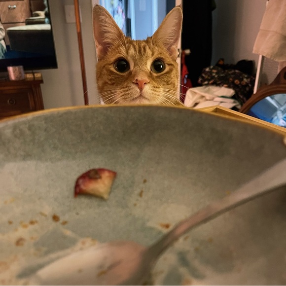 Meet your Posher, Jess - Picture 10 of 16